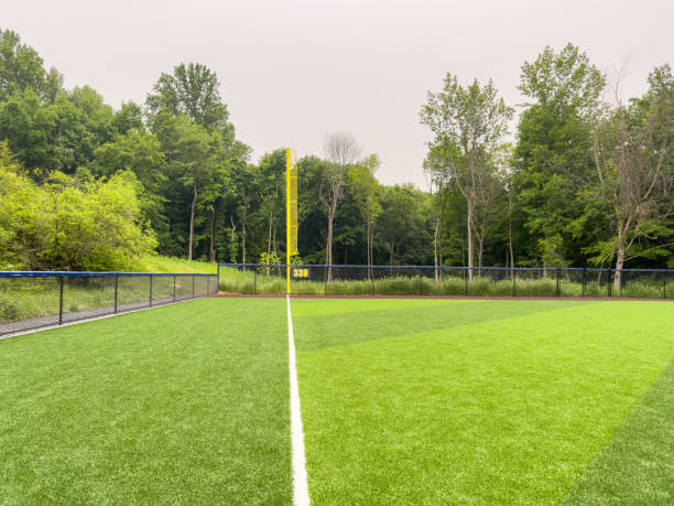 Essential Insights for Installing Artificial Turf