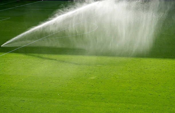 Premium Artificial Turf: Unveiling its Outstanding Waterproof Performance in Dealing with Rainy Seasons