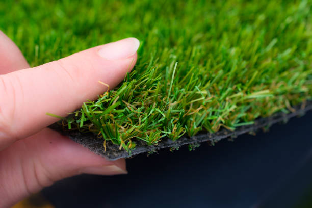 Unveiling the Evolution of Artificial Grass: A Journey Through History