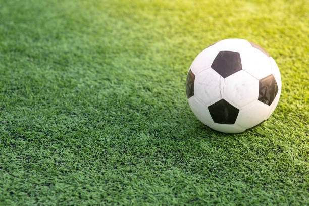 Questions about artificial turf - Pet Grows