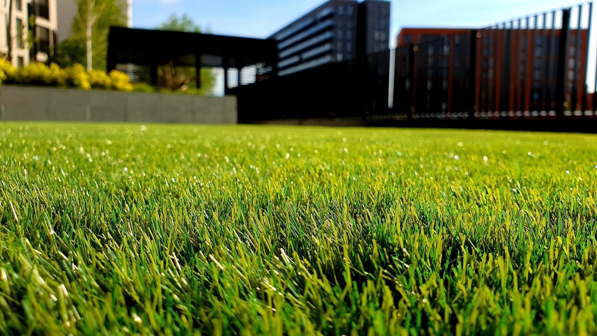 What to do with Old Artificial Turf? - Pet Grows
