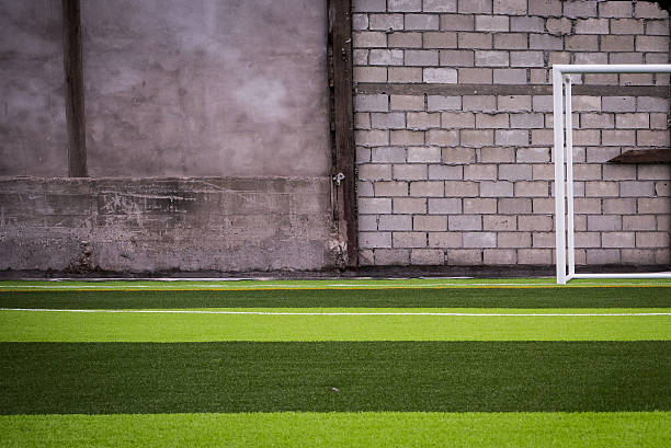 Why an Artificial Grass Lawn is Perfect for A Party? - Pet Grows