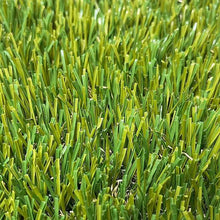 Load image into Gallery viewer, PetGrow 1.38 inch Standard Grass - Pet Grows
