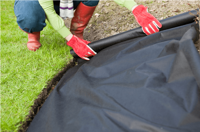The Ultimate Guide to Choosing the Right Weed Barrier for Your Garden with PetGrow