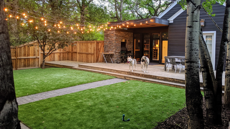 Is PetGrow Artificial Grass the Perfect Play Area for Your Pet? 5 Things to Know