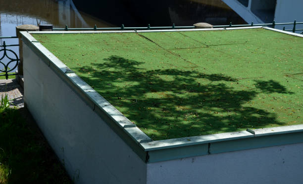 Can I put artificial grass on a roof?
