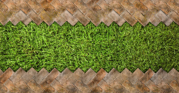 Artificial Turf Lifespan: Why PetGrow Artificial Grass Pass the Test of Time