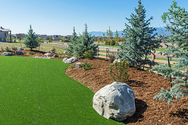The Versatility of Artificial Turf: Enhancing the American Lifestyle in Every Environment