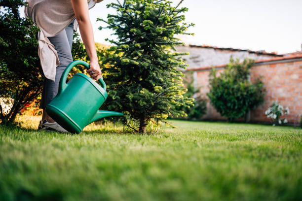 Real-life challenges for real lawns.