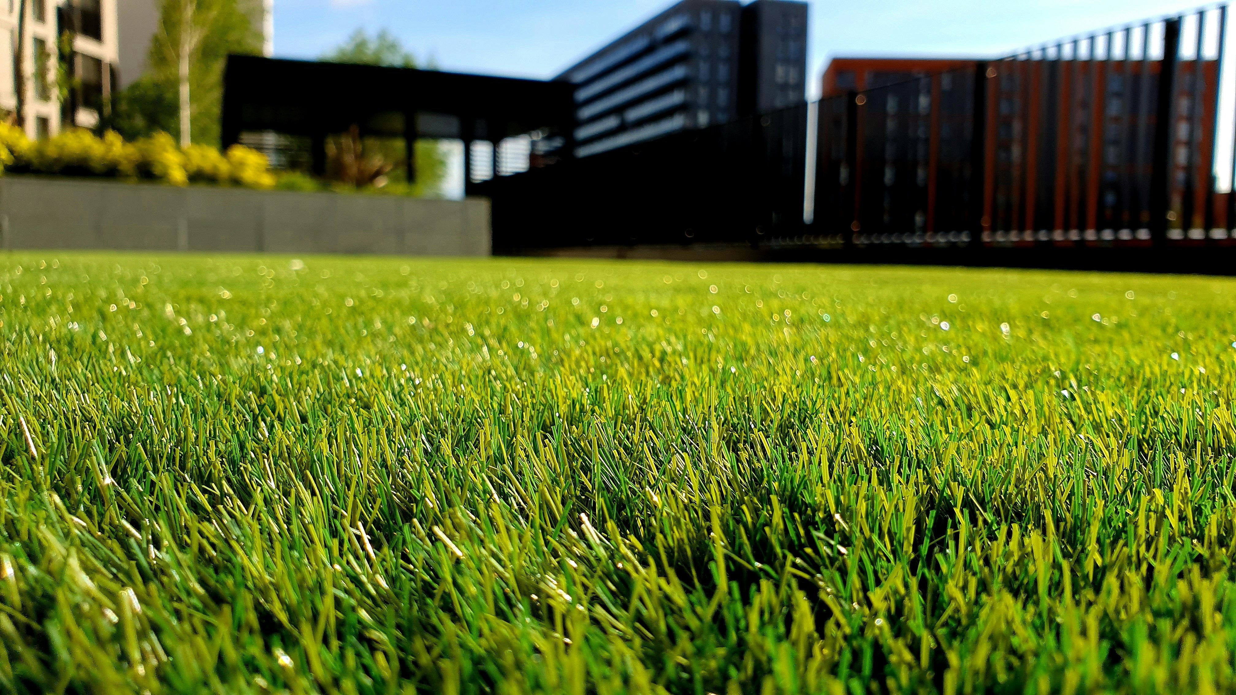 Where Can Artificial Grass Be Used? Top Applications & Ideas