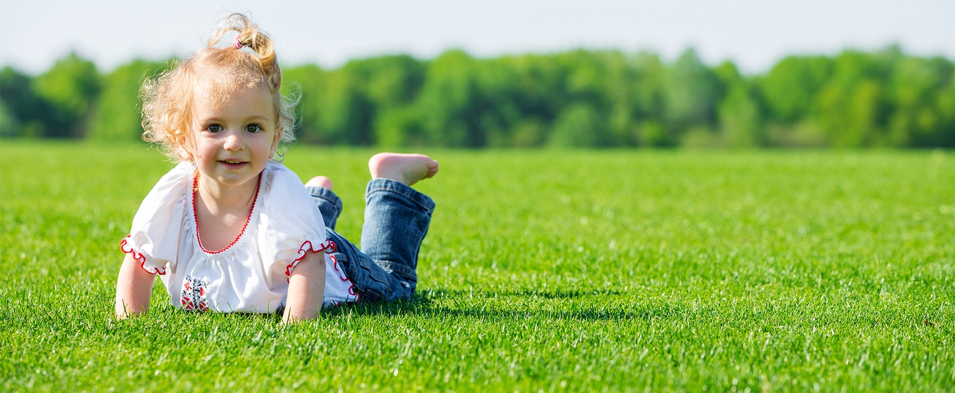 PetGrow - Artificial Grass - Home