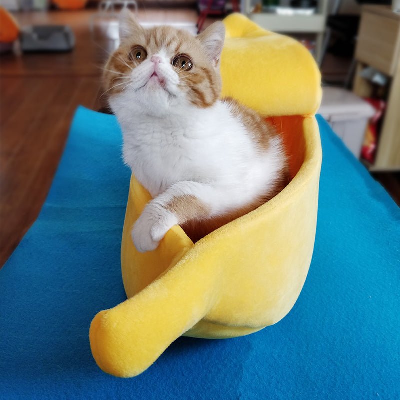 Banana cat bed video best sale